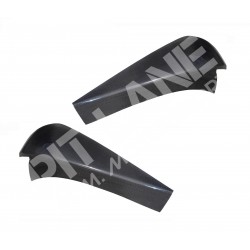Nissan 350Z Challenge Pair of lamp rear cover in in carbon fibre