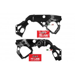 BMW S 1000 RR 2010-2011 CARBON FRAME PROTECTION