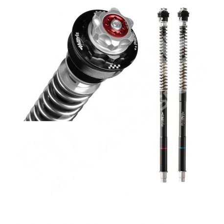 BMW R 1200 R-RS 2015-2019 - BMW R 1250 R-RS 2019-2024 fork type Sachs MATRIS FORK CARTRIDGE KIT F25R