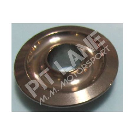 GM 500 Titanium (2000-2013) Plaque de ressort en titane