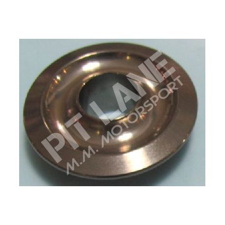 GM 500 Titanium (2000-2013) Titanium spring plate
