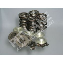 GM 500 Tuning (2000-2015) Special Racing Spring-Kit