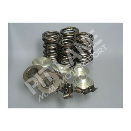 GM 500 Tuning (2000-2015) Special Racing Spring-Kit