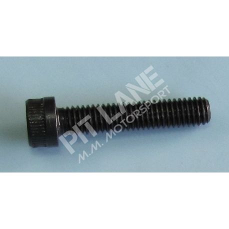 GM-OEM Parts (2000-2020) M6x30 screw