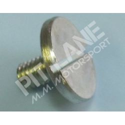 GM-OEM Parts (2000-2020) Retaining screw bearing