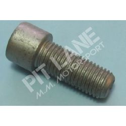 GM-OEM Parts (2000-2020) Tornillo M10x1,25 25 mm de largo para culata