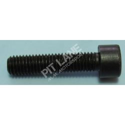 GM-OEM Parts (2000-2020) Tornillo M8x35x1.25 para culata