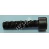 GM-OEM Parts (2000-2020) M8x35x1.25 screw for cylinder head