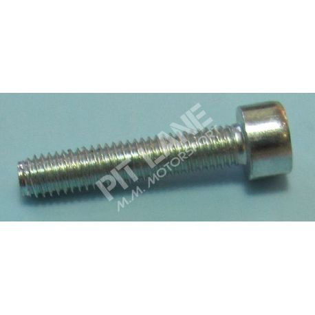 GM-OEM Parts (2000-2020) Retaining screw -ignition- M5x30