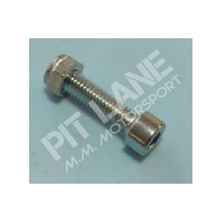 GM-OEM Parts (2000-2020) Retaining screw for timing chain rail