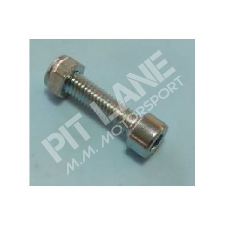 GM-OEM Parts (2000-2020) Tornillo de retención para raíl de cadena de distribución