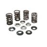 HONDA TRX 250X (1987-1992) Ventilfeder Kit