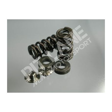 HONDA CRF 450R (2002-2008) Spring kit inlet