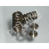 HONDA CRF 450R (2002-2008) Ventilfeder