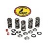 HONDA TRX 400EX (1999-2009) Kit molle valvola