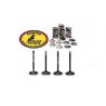 HUSQVARNA TE/TC 510 (2006-2010) Ventilfeder Kit