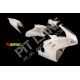 DUCATI PANIGALE V4-R 1000 2019-2022 KIT Racing fairing in fiberglass ( AKRAPOVIC )
