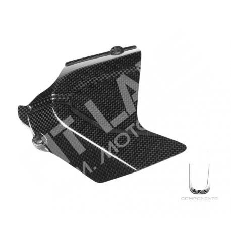 Ducati carbon Front sprocked cover