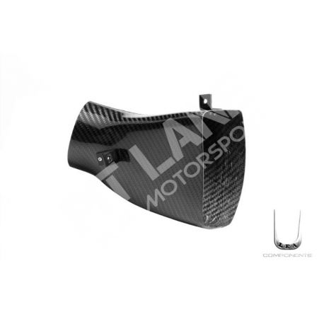 LOTUS Elise 2 Serie Carbon fiber Dynamic left air intake