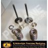 KTM 450 SMR (2004-2007) Ventilfeder Kit