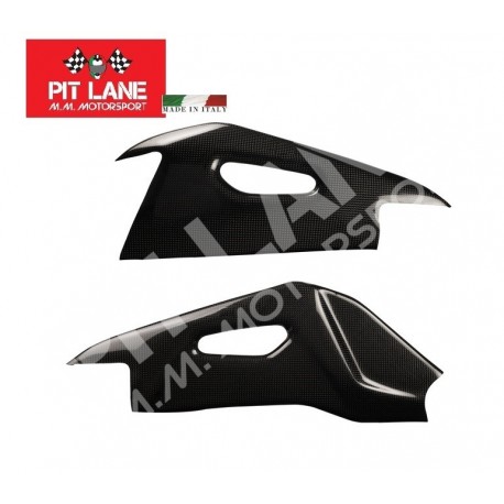 APRILIA RSV4 - 1100 FACTORY 2021-2022 CARBON SWING ARM PROTECTION