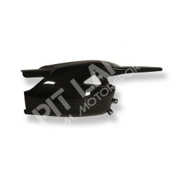 TRIUMPH Speed Triple The swingarm cover in carbon