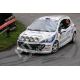 Peugeot 207 R3T - Peugeot 207 S2000 - Ford Fiesta R5 Rallye Motorhauben Lichthalterung aus Glasfaser Komplette und montierte