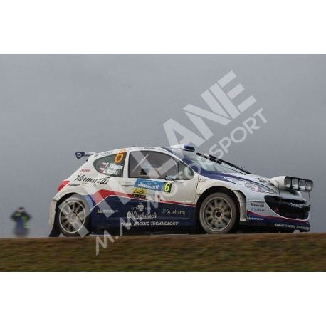 Peugeot 207 R3T - Peugeot 207 S2000 - Ford Fiesta R5 Rallye Motorhauben Lichthalterung aus Glasfaser Komplette und montierte