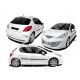 PEUGEOT 207 Drifz-Look KIT CARROSSERIE en fibre de verre