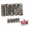 YAMAHA YZF R1 2007-2008 Clutch spring kit