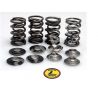 YAMAHA XTZ 660/5V 1991-2008 Federkit IN/EX