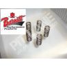 YAMAHA XTZ 660/5V 1991-2008 Juego de resortes de embrague de BARNETT