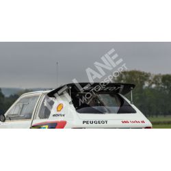 Peugeot 205 T16 Competition window kit in polycarbonate