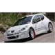 Peugeot 207 S2000 (EVO 2012) Front bumper Kevlar