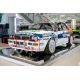 Lancia DELTA EVOLUZIONE Seitengitter für Frontstoßstange (Paar)