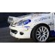 Peugeot 206 Rampe de phare de capot en fibre de verre
