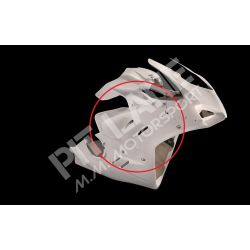 DUCATI PANIGALE V4-R 1000 2022-2024 Lado derecho en fibra de vidrio Racing