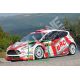 Ford Fiesta RRC - Ford Fiesta WRC Front Wings in fibreglass (Pair)