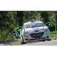 Citroen DS3 R3T - Citroen DS3 WRC - Peugeot 208 R5 - R2 Par Retrovisor Exterior in carbono
