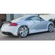 AUDI TT 8 N MONDLICHT BODY KIT in fiberglass