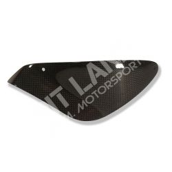 MV Agusta Brutale 750/910 - F4 Chainguard in carbon