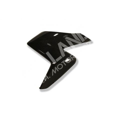 HONDA CB 1000 R (AB 2008) Wasserkühlerverkleidung Links aus Carbon