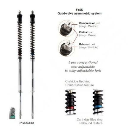 SUZUKI GSX750 INAZUMA 1998-2003 MATRIS Fork cartridge F15K