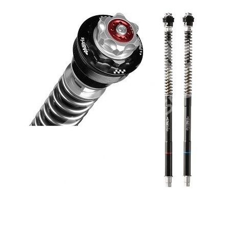 YAMAHA YZF R1 1998-2001 (RN01/RN04) MATRIS FORK CARTRIDGE KIT F25R