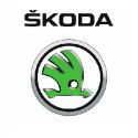 Skoda PISTONI AUTO