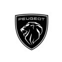 Peugeot PISTONS CAR